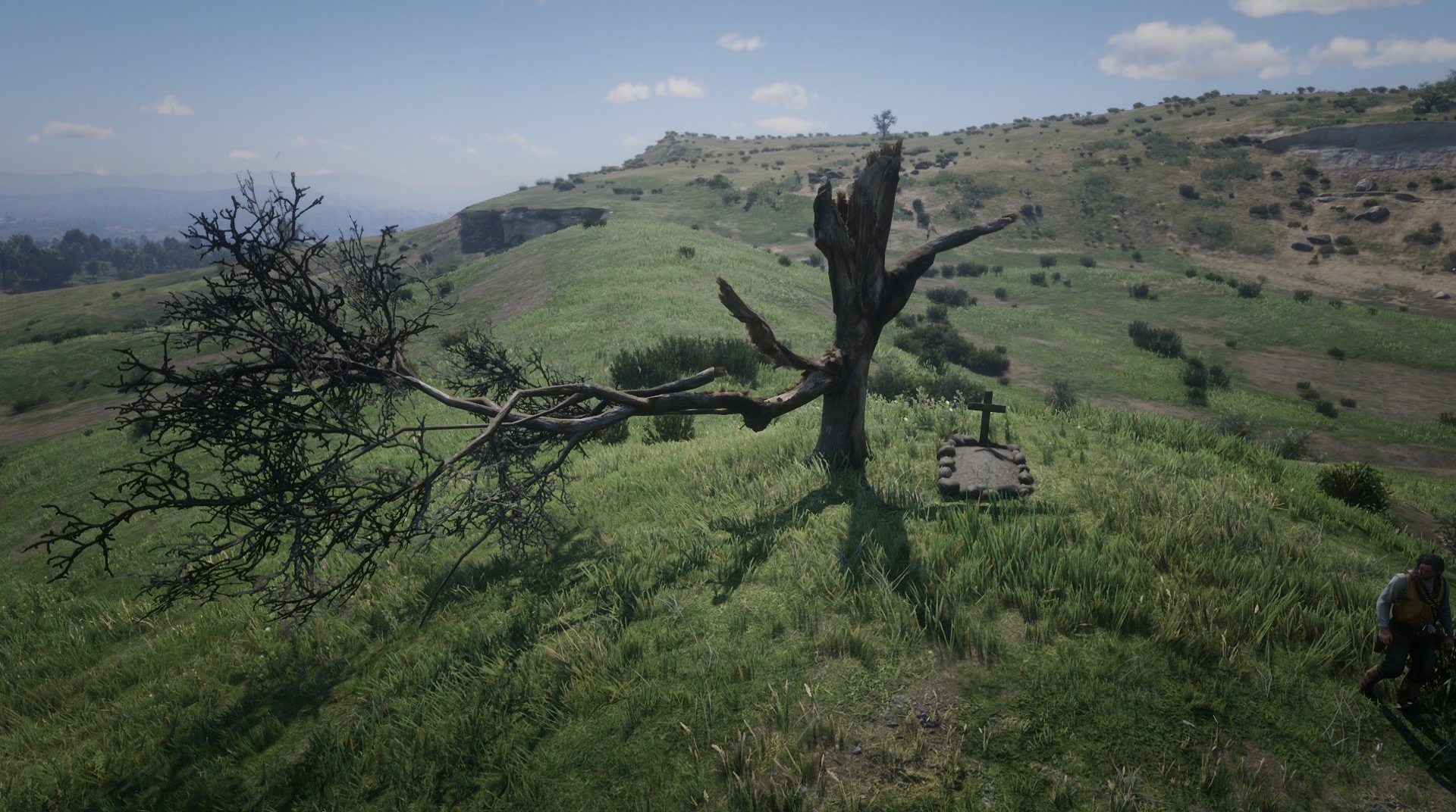 Warped Tree RED DEAD REDEMPTION 2 情報&攻略 wiki RDR2 atwiki（アットウィキ）